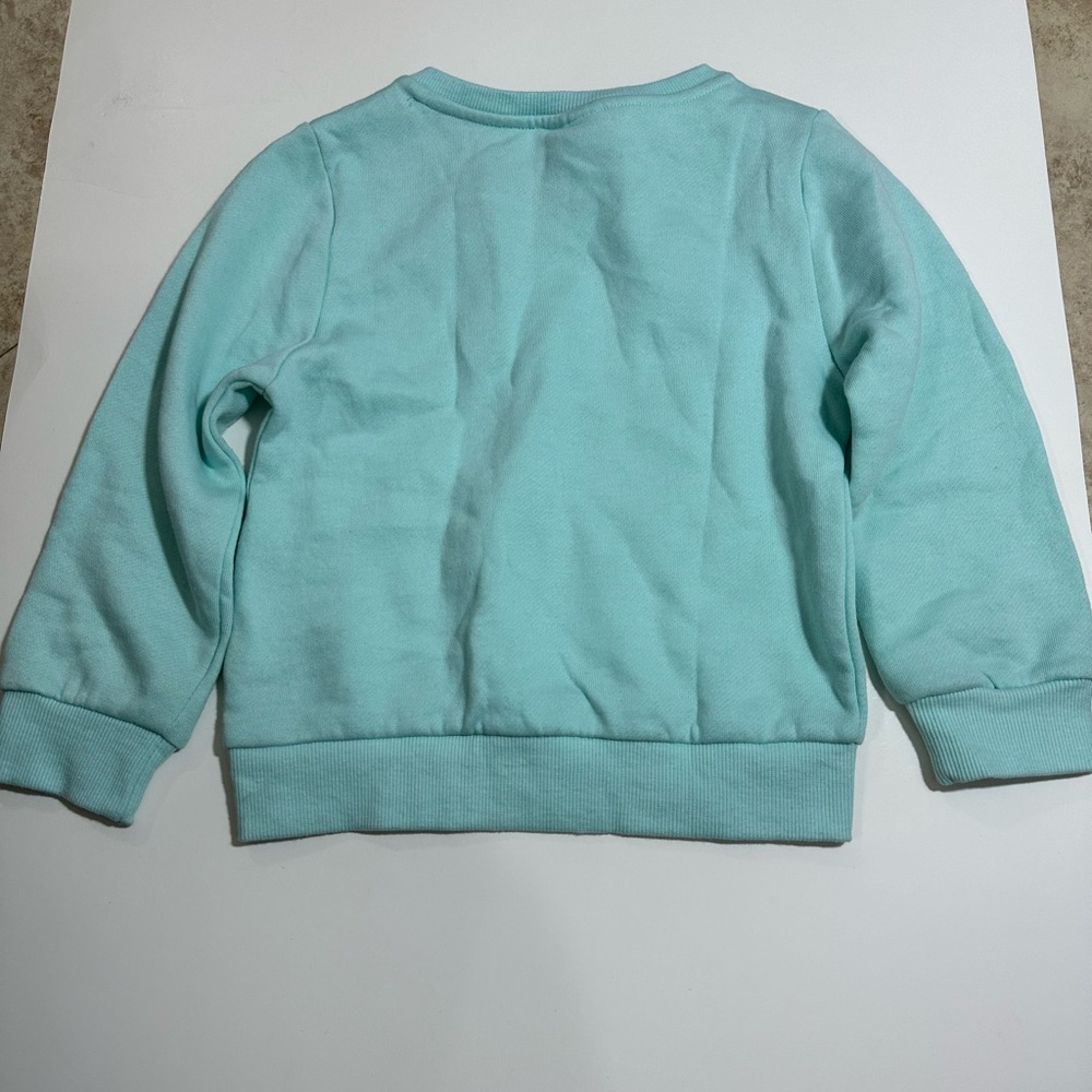 0435 NWT Paw Patrol Aqua Sweatshirt - Hooray for Today - Picture 6 of 7